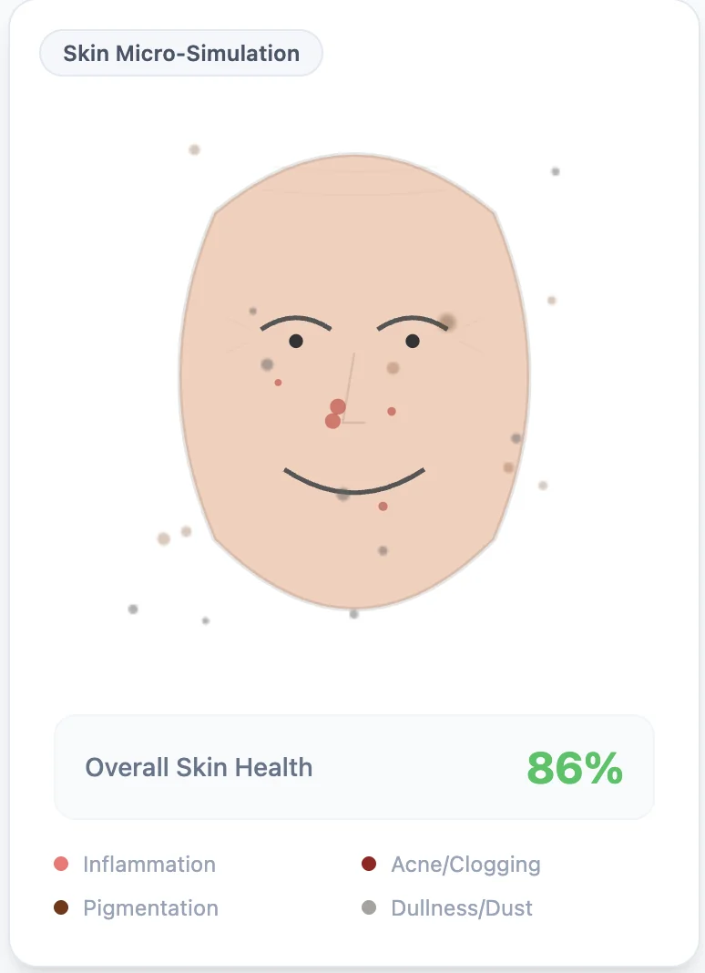 pollution and skin