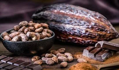 Dr. Rohit Gupta explains about Pure cocoa